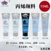 Set de Pintura Acrílica Personalizado de 75 ml, Impermeable y que no se decolora, Adecuado para Pintura DIY en Estudio, Se puede imprimir con logotipo