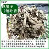 Ervas Medicinais Chinesas Ba Zi Selvagem Folha Enrugada Xiang Fan Chá Ba Zi Selvagem Capim Rabo de Raposa Enxofre Genuíno Livre de Medicina Herbal Chinesa