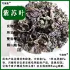 Hojas de Perilla, Medicina China, Hojas de Perilla Frescas Comestibles Secas, Hojas de Perilla Secas, Materiales Medicinales Chinos para Remojo de Pies, Materiales Medicinales Chinos, Hojas de Perilla