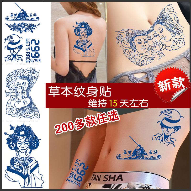 草本主图4(3).jpg