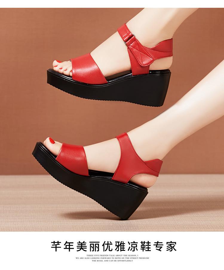 详情_15.jpg