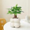 Vaso Nuvem de Planta Verde para Escritório e Sala de Estar, Decoração de Mesa, Vaso Nuvem Criativo Moderno para Plantas e Flores