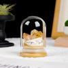 Minério de Cristal Natural Garrafa dos Desejos Aglomerado de Cristal Roxo Amarelo Micropaisagem Mina Garrafa Padrão Decoração de Casa Presente para Crianças Ornamentos