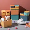 Caja de Almacenamiento con Contraste de Color Morandi para Snacks, Ropa, Artículos Varios, Organizador Doméstico, Cocina, Condimentos, Cesta de Almacenamiento de Plástico con Tapa