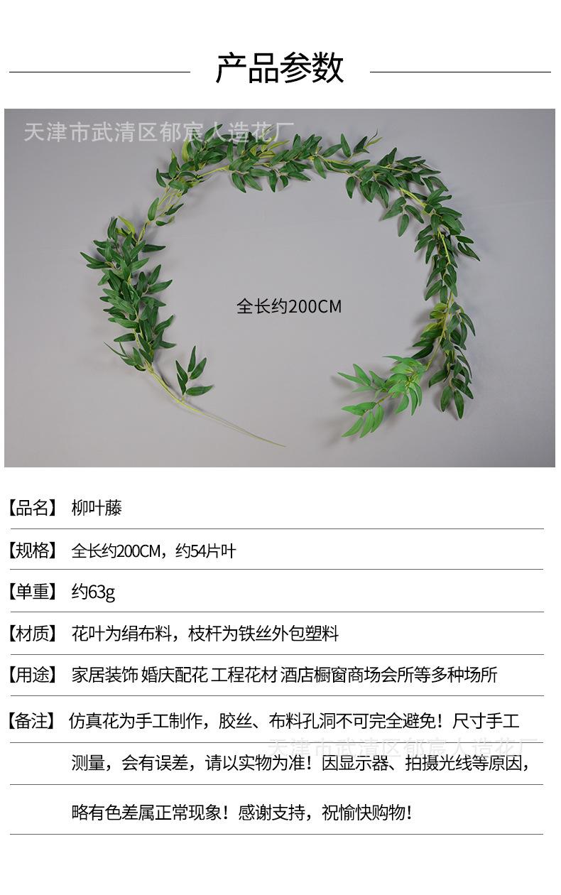 详情_01.jpg