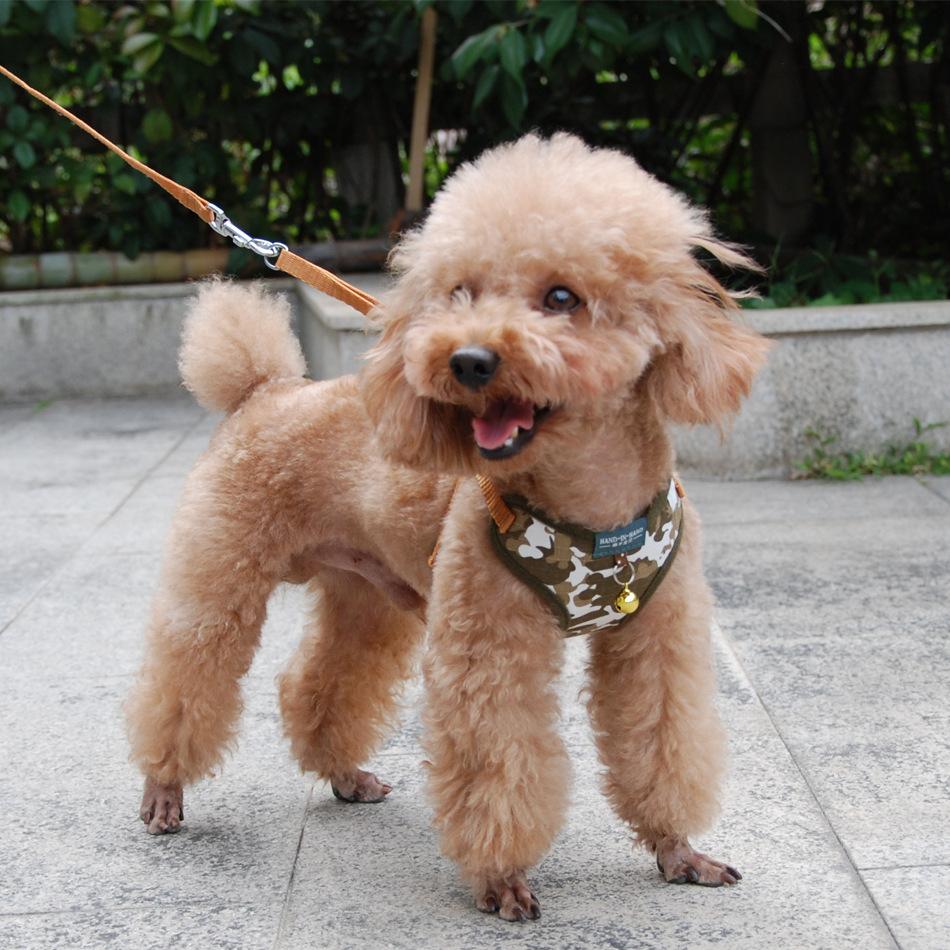 pet products harness vest mesh