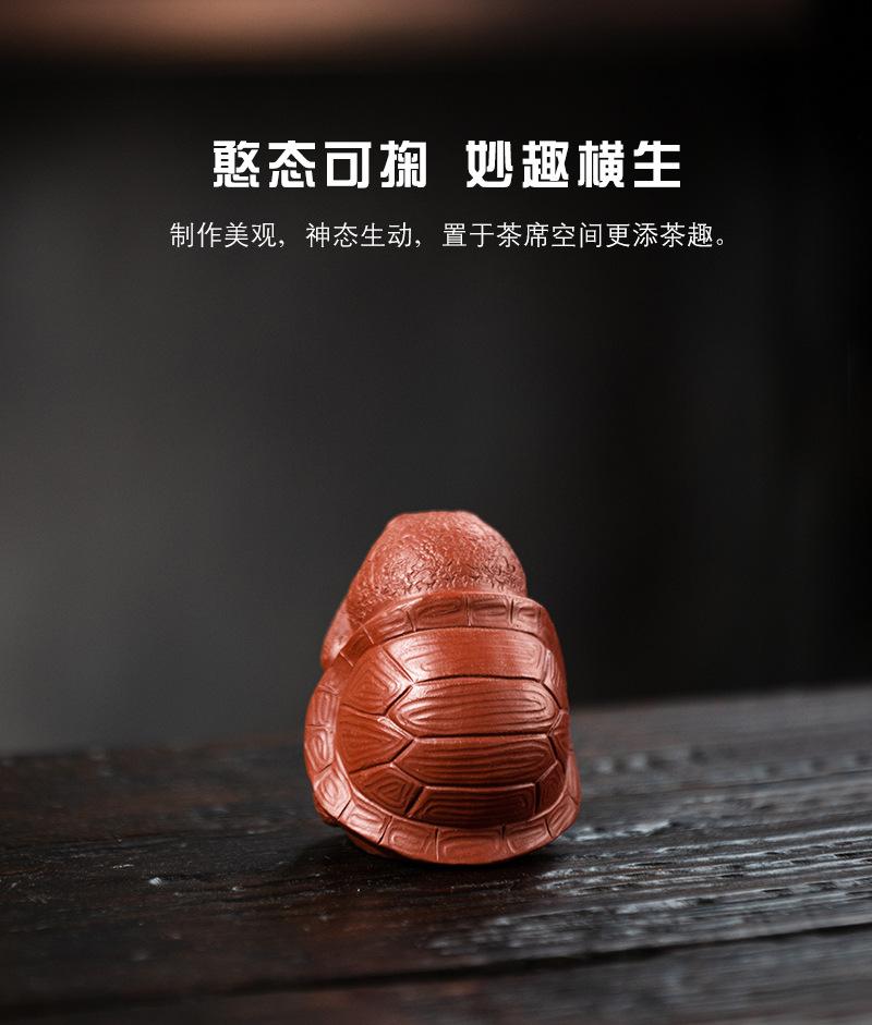 三不龟20220112 (25).jpg