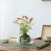 Planta de Gardenia Hidropónica, Bola de Musgo en Maceta, Mini Rosa, Planta Verde de Oficina, Bambú de la Suerte, Árbol del Dinero de Escritorio para Interiores