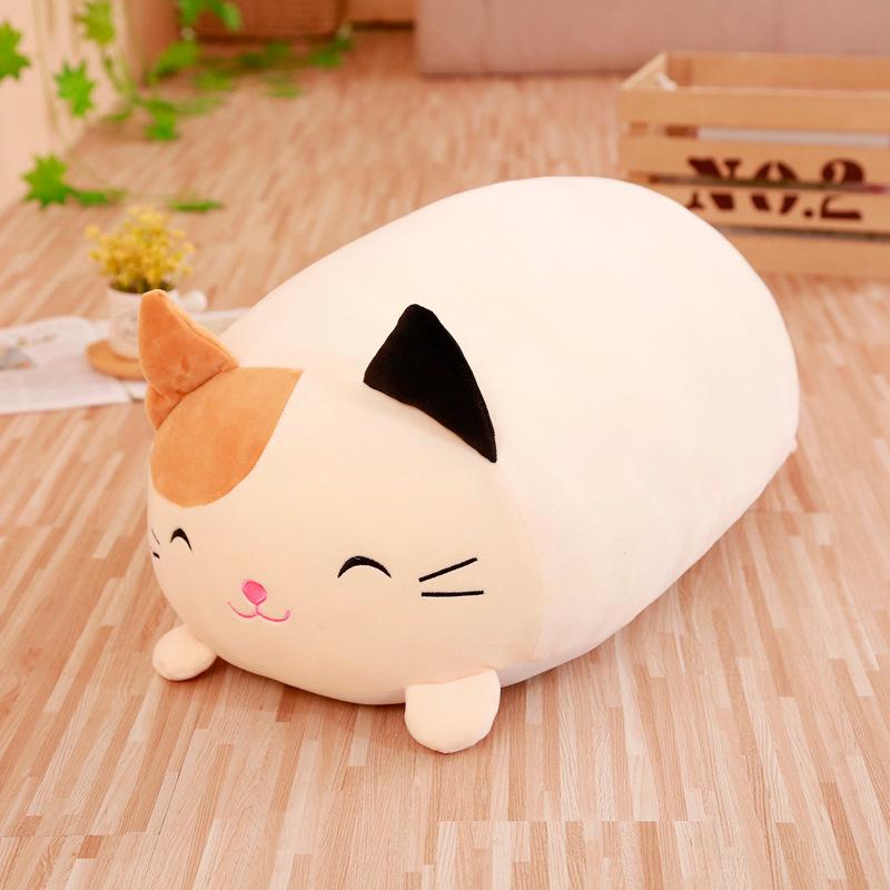 猫咪.jpg