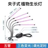 Luz de Cultivo para Plantas Transfronteriza, Luz LED para Crecimiento de Suculentas, Espectro Completo, Temporizada, Similar a la Luz Solar, Coloración de Plántulas, Luz Púrpura