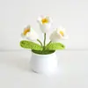 Día del Maestro Maceta Tejida Flor Artificial Acabados Adornos Decoración Hogar Amigos Mejor Amigo Regalos Regalo Flores en Maceta
