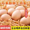 40 piezas de huevos auténticos de gallinas de corral de libre pastoreo, huevos frescos de cordyceps de gallinas de corral, una caja completa de huevos de pollos alimentados sin antibióticos, al por mayor