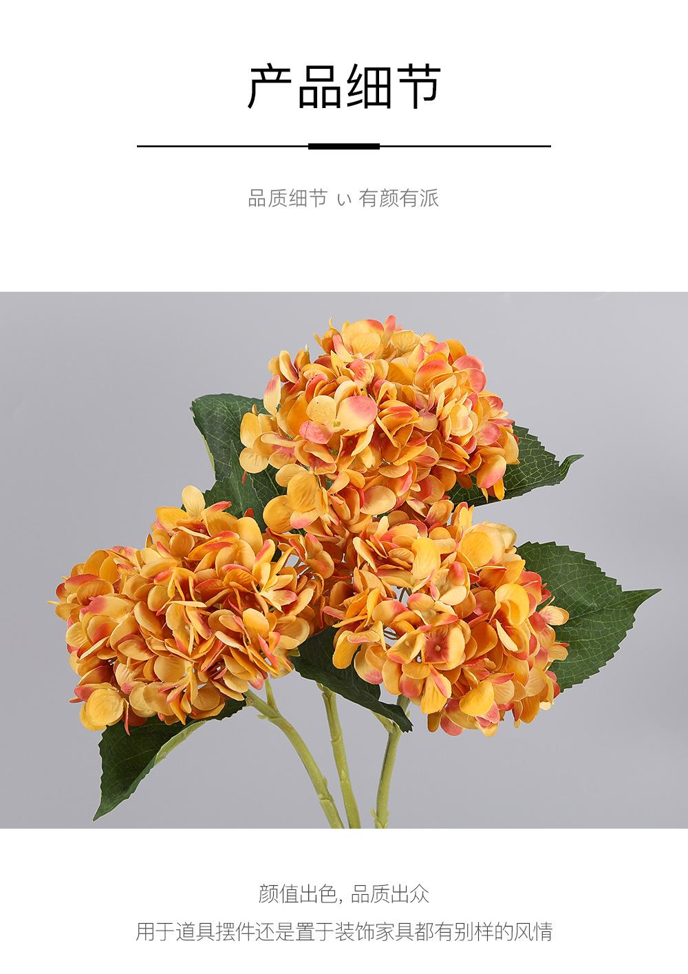 详情_08.png