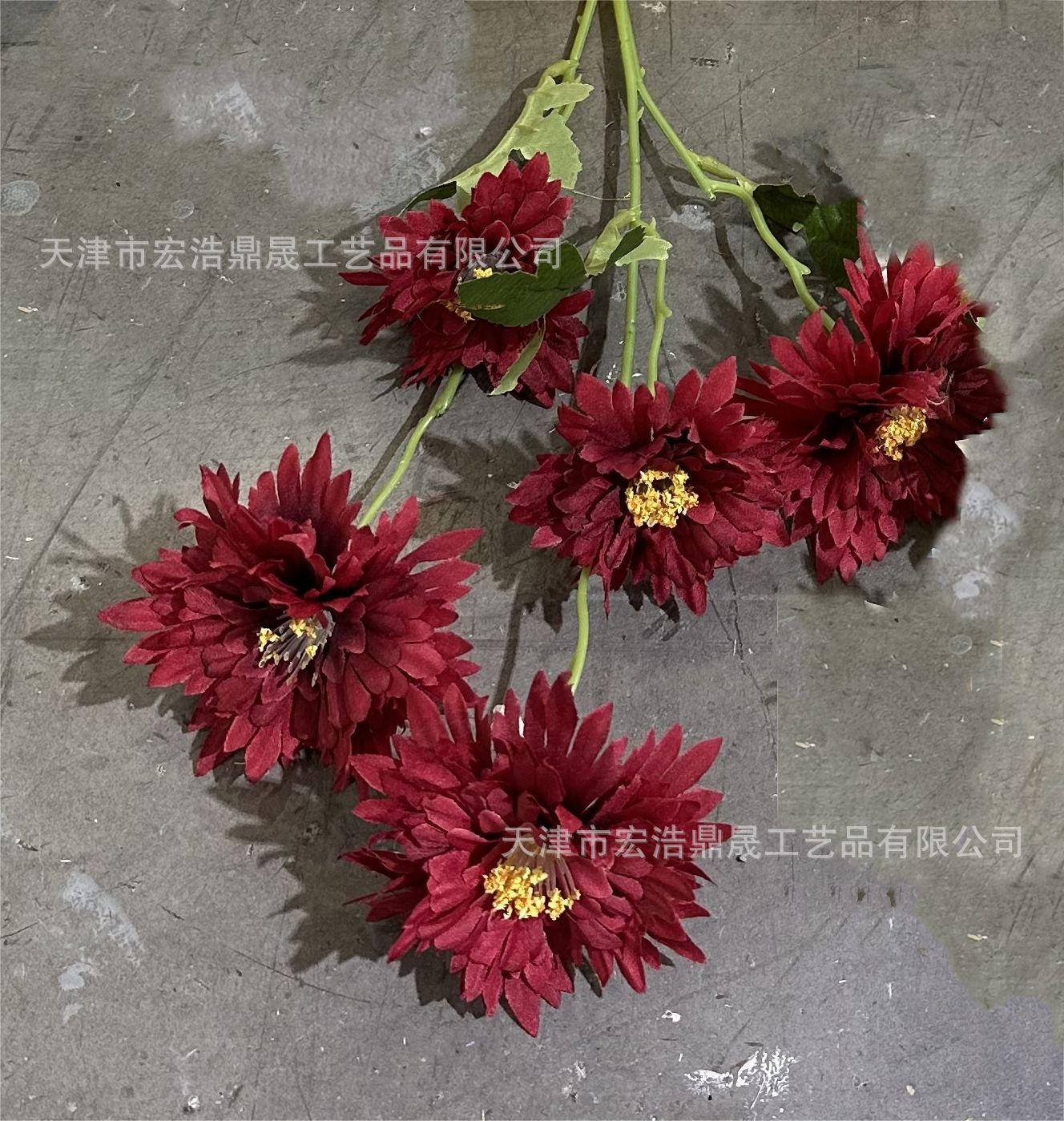 微信图片_20230723132443(7)