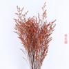 Ramo de flores de paja de cristal de hierba de amor eterno, venta al por mayor, decoración de ventanas para el hogar, arte floral para bodas, materiales hechos a mano