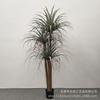 Árbol de Orquídea de Seda Artificial en Maceta Estilo Nórdico Hierro Holandés Árbol Falso Solanum Nigrum Árbol de Sangre de Dragón de Varilla Multi-artificial Árbol Decorativo de Piso en Maceta