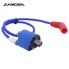 Bobina de Encendido para 125cc 150cc 200cc Cg125 Cg150 Cuatrimoto Modificada Paquete de Alto Voltaje