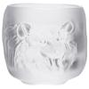 LiquidaciónTaza de Té de Cristal Poder del Tigre, Taza Maestra, Juego de Té Kung Fu, Taza de Té de Cristal, Taza Individual, Taza para Beber Té