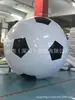 Pelota de Playa para Exteriores Juguete de Agua Bola de Agua Entretenimiento Juego Interactivo Pelota de Juego Plaza Escolar Publicidad Pelota Inflable