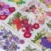 33 Piezas de Combinación con Relieve, Se Pueden Usar para Calcomanías Hechas a Mano, Fundas de Teléfono Secadas con Pegamento, Velas de Aromaterapia, Producción Creativa de Flores, Decoración del Hogar, Regalos de Acción de Gracias y Navidad