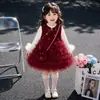 Vestidos para Niñas Otoño 2026 Nuevo Estilo Vestidos de Otoño/Invierno para Bebés Vestidos para Primera Fiesta de Cumpleaños Vestidos de Princesa Conjuntos de Vestidos para Niños