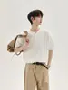 Suministro Exclusivo Transfronterizo Estilo Coreano Simple Estilo Old Money Camiseta Casual de Punto de Manga Corta Camisa Polo Top Versátil Cleanfit