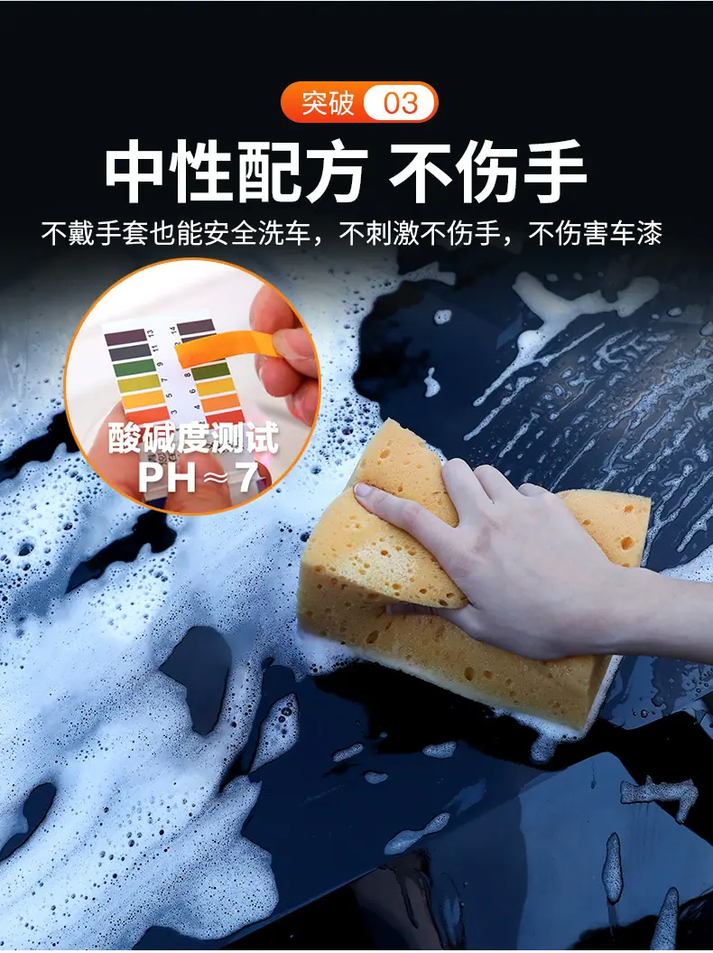 金棕蜡详情_09.jpg