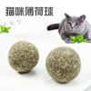 Palitos Mastigáveis de Erva-de-Gato Petiscos para Gatos Brinquedos para Limpeza dos Dentes de Gato Palitos de Erva-de-Gato Direto do Fabricante
