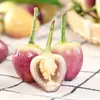 Pimentas de Sete Cores de Guangxi Frescas 2,5kg Pimentas Frescas, Pimentas Coloridas, Pimentas em Conserva, Pimentas Lanterna Pequena, Pimentas de Arroz, Frete Grátis Especialidade
