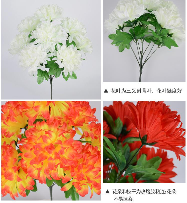9头尖菊_03.jpg