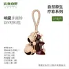 Yunnan Indonésia Fruta Preta Árvore Sino Fruta Natural Casca Sino de Vento Planta Pingente Pacote de Material DIY Feito à Mão Ornamento para Pendurar Venda por Atacado