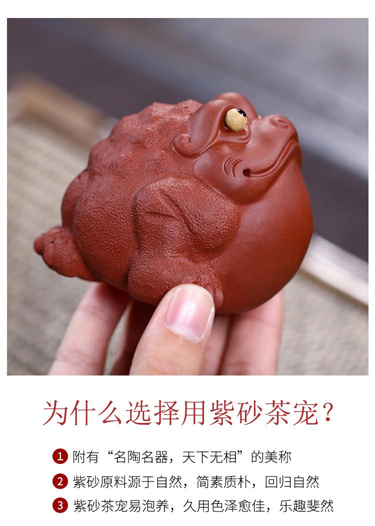 金蟾，求财金蟾2019 11 10