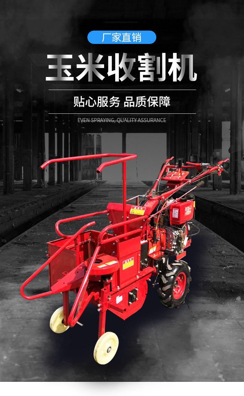 玉米2_01