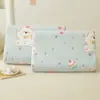 Fundas de Almohada de Terciopelo de Leche y Látex, un Par de Fundas de Almohada para Niños 30X50, Funda Interior para Núcleo de Almohada de Memoria, Moderno y Sencillo