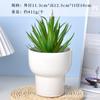 Vasos de Porcelana Branca para Flores Transfronteiriços Amazon Vasos Cerâmicos para Suculentas Simples Criativos Preto e Branco para Interior Vasos para Orquídeas Plantas Verdes