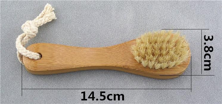 SAM_8177_副本1_副本