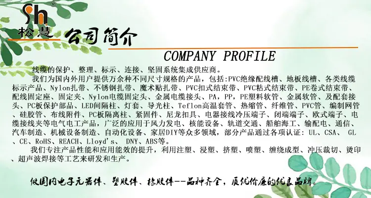 公司介绍