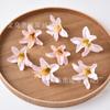 Simulação da cabeça da flor parede de flores de casamento decoração caixa de presente para casa decorações material artesanal diy flor artificial adorno de cabeça