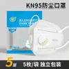 Mascarilla a Prueba de Polvo Kn95 con Doble Válvula de Respiración, Transpirable, Anti-Polvo Industrial y Bruma, Cómoda para las Orejas, Mascarilla de Aislamiento con Carbón Activado de 6 Capas