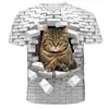Suministro del Fabricante Ropa Infantil Animal Gato Camisa 3D Impresión Digital Holgada Casual Infantil Dibujos Animados Tops de Manga Corta