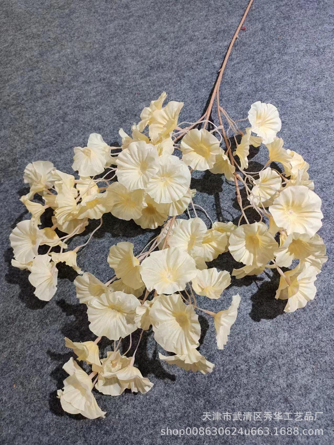 偻兰香槟色