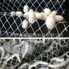 Suministro en stock de fábrica red de capullos de gusano de seda especial para cría plástico plano red de cría de gusanos de seda plástico plegable Blanco