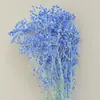 Arranjo de Flores para Decoração de Casa, Estilo Fresco e Natural, Flores Preservadas, Buquê Sonhador de Gipsofila Estrelada Atacado