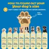 Sapatos Impermeáveis para Cachorro, Sapatos de Proteção para Patas, Sapatos Anti-Queimadura para Uso Externo em Asfalto Quente, Neve de Inverno, Botas de Caminhada para Cachorro