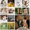 Gatinho Macio e Fofo de Pelo Longo Calendário de Mesa Anual Completo Calendário de Fotos de Gato Curativo Transfronteiriço Europeu e Americano Em Estoque
