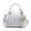 Bolso Azul Primavera para Mujer 2025 Nueva Moda Corea del Sur Estampado Bolso Almohada Versátil Bolso de Hombro Cruzado