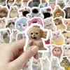 103 Adesivos de Gatinhos Fofos Realistas, Pets Kawaii Fofos, Diário de Mão DIY, Adesivos Decorativos para Copo de Água de Celular Venda por Atacado