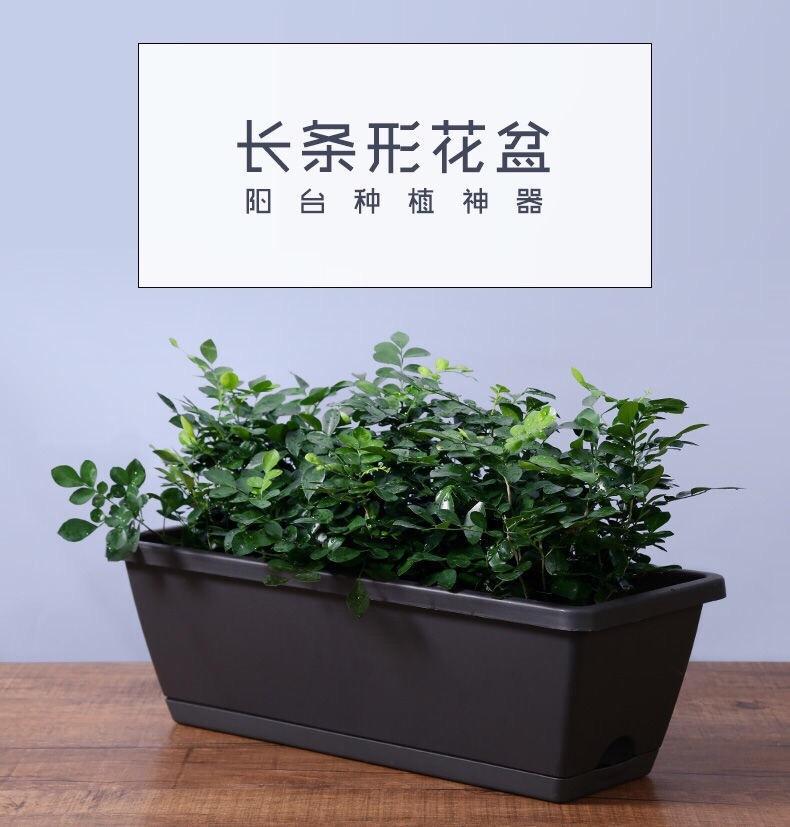 142968a8-24d1-450f-bd56-cf4353c8a4dd.jpe