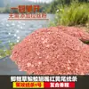 Sujuda Jutong Matar Nº 1 Peixe Isca Material Isca de Pesca Selvagem Carpa Carpa Capim Tilápia Cauda Vermelha Amarela Isca Branca Isca Matadora