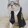 Muñeco de Felpa Estilo Nuevo Gato y Perro Linda Capa, Transformación Elegante en Traje de Capa de la Academia de Magia Harry Potter